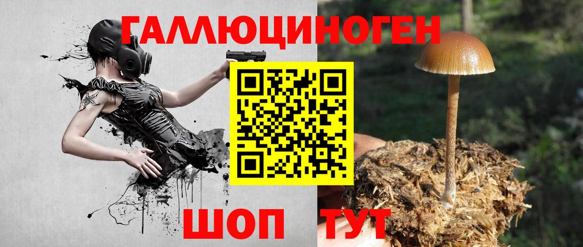 Галлюциногенные грибы Magic Shrooms Бугульма
