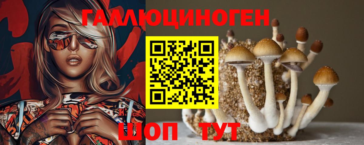 Галлюциногенные грибы GOLDEN TEACHER  Вход с VPN  хочу наркоту  Бугульма 